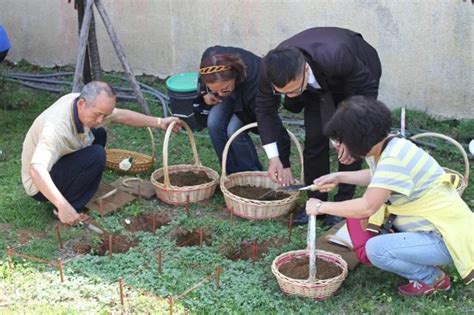 樹葬如何祭拜|2024 一次看懂最新環保葬法：樹葬、花葬流程、優缺點及申請費。